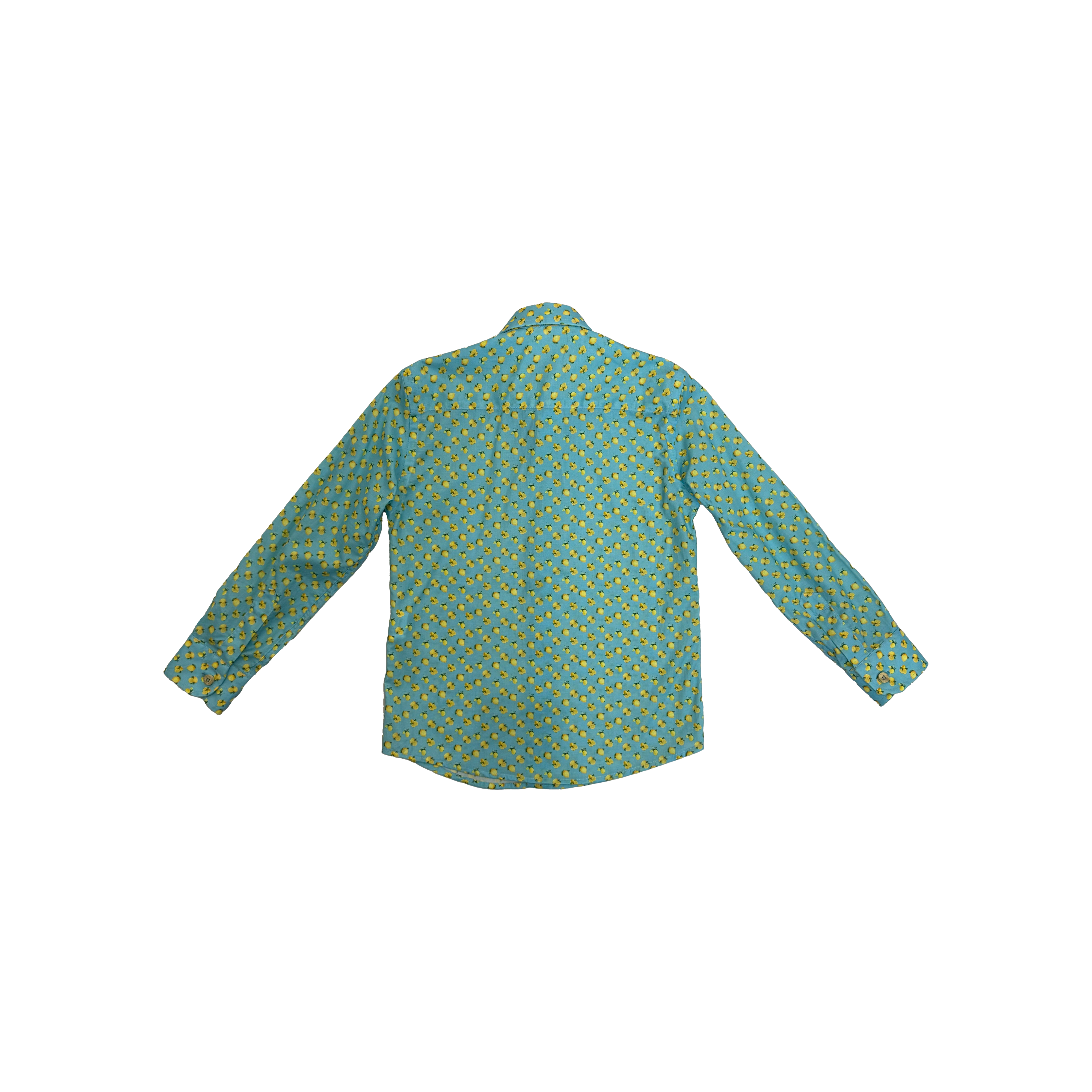 Neill Katter Camicia Lemon Affare Del Giorno