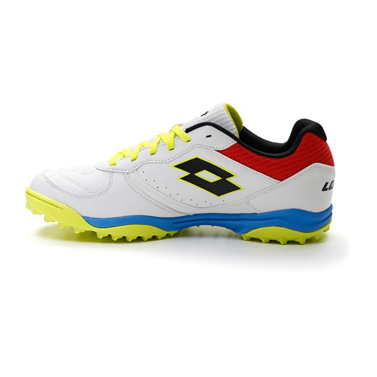 Lotto TACTO 300 VII TF Nuovo