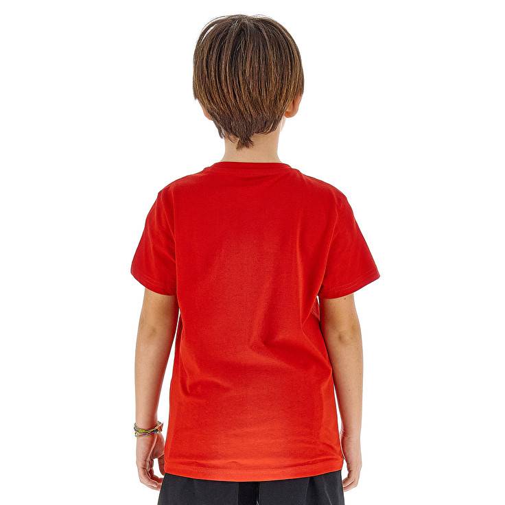 Lotto SMART B III TEE Offerta