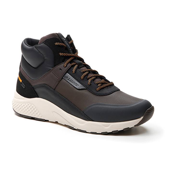 Lotto ULTRA AMF II MID HD Offerta