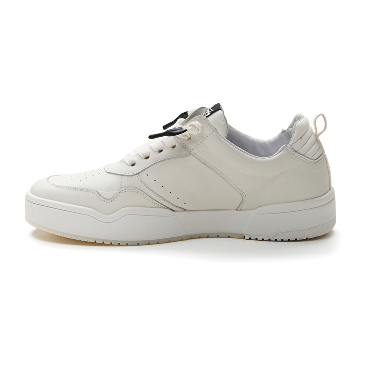 Lotto HOOP STARS Vendita