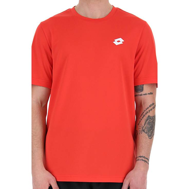 Lotto MSP TEE Consegna Veloce