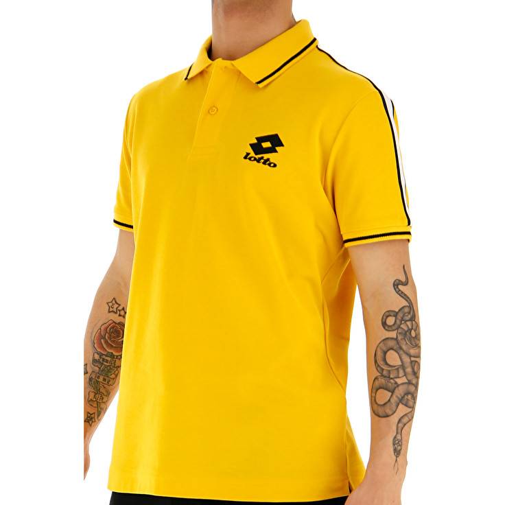 Lotto POLO LIPARI PQ Convenienza
