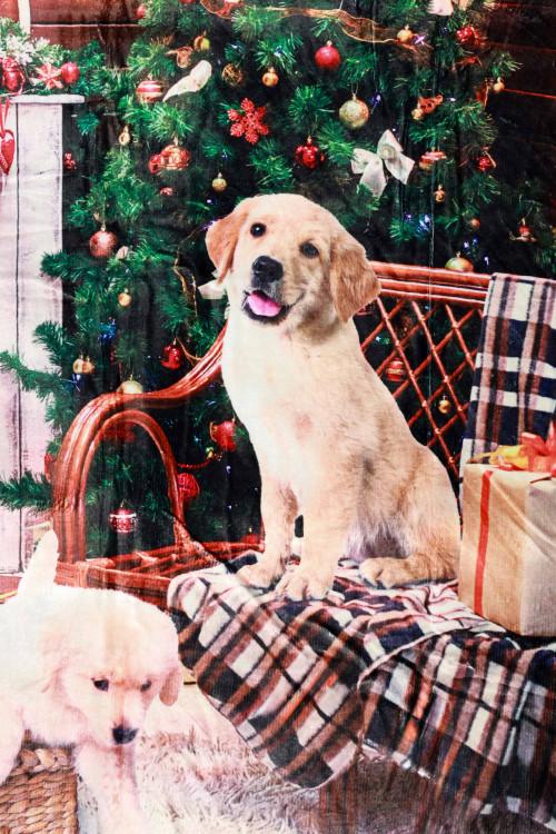 Susy Mix Plaid Stampa Cane Sottocosto